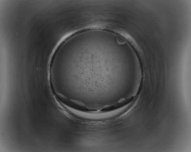 X0000087001232200704161518