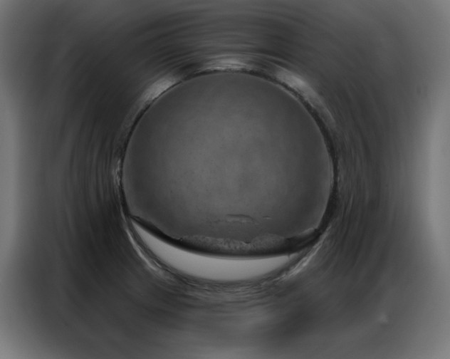 X0000087001233200704161518