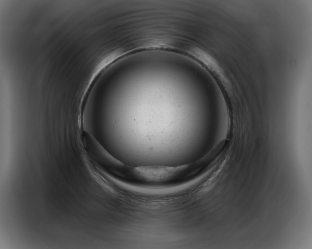 X0000087001234200704161518