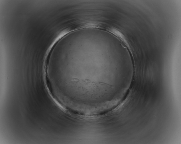 X0000087001235200704161518