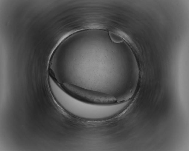 X0000087001236200704161518