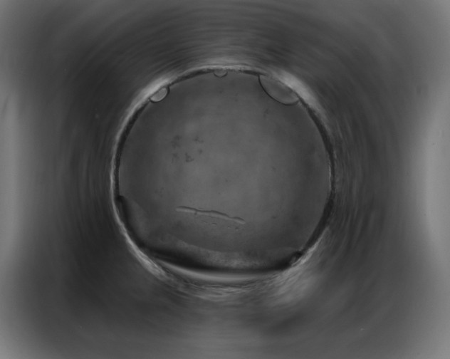 X0000087001237200704161518