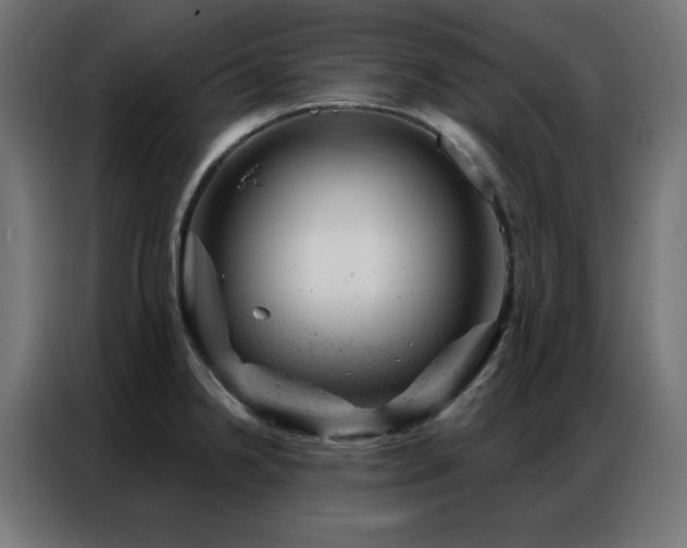 X0000087001238200704161518