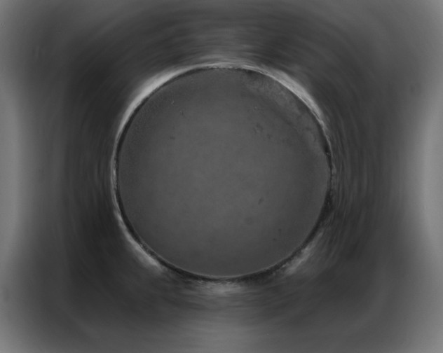 X0000087001239200704161518
