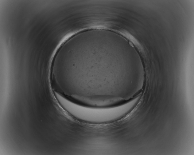X0000087001240200704161518