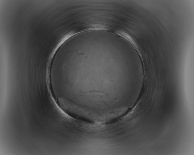 X0000087001243200704161518