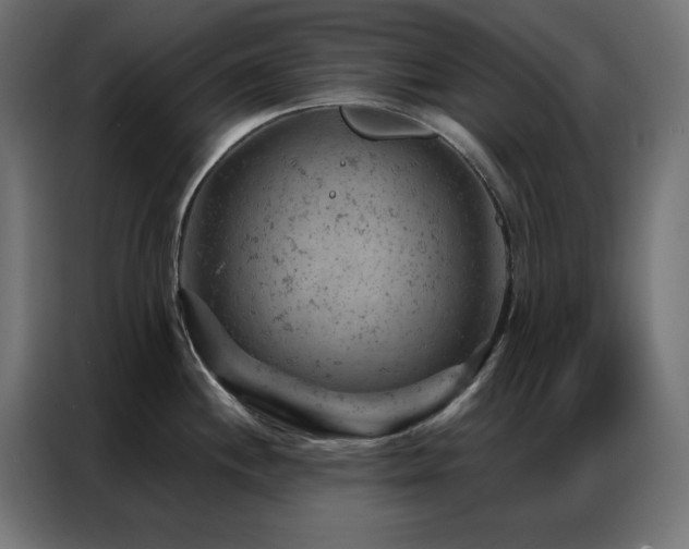 X0000087001244200704161518