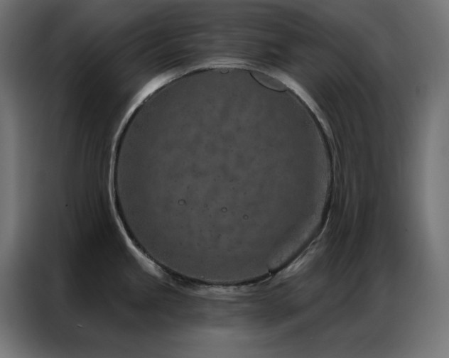X0000087001245200704161518