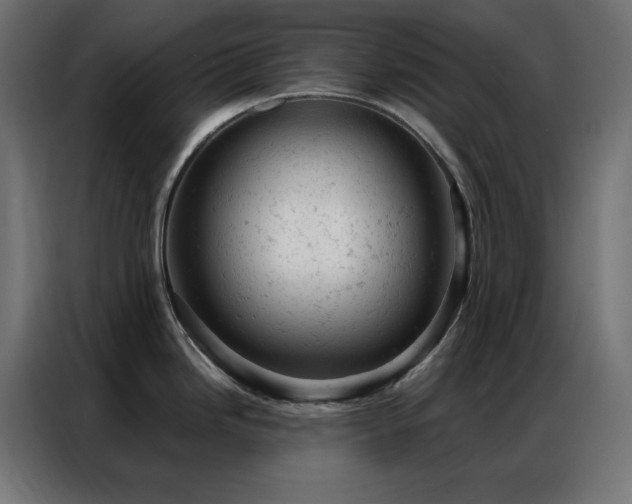 X0000087001246200704161518