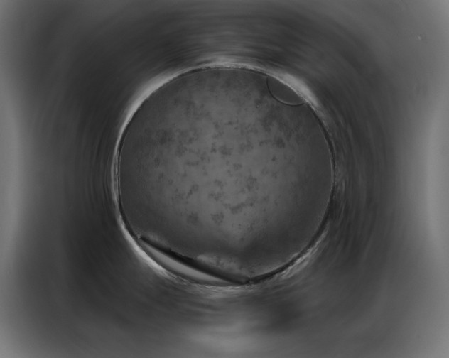 X0000087001247200704161518