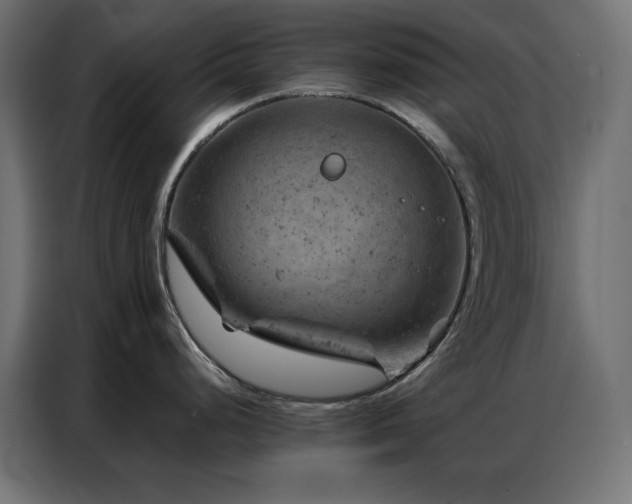 X0000087001248200704161518
