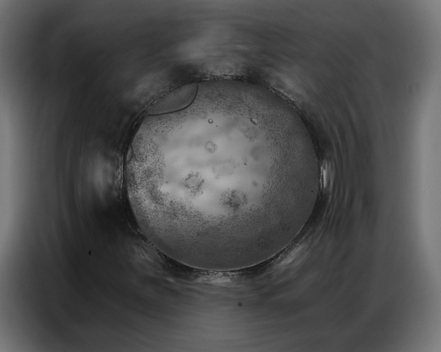 X0000087001251200704161517