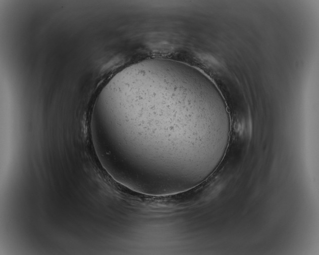 X0000087001252200704161517