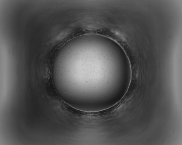 X0000087001253200704161517