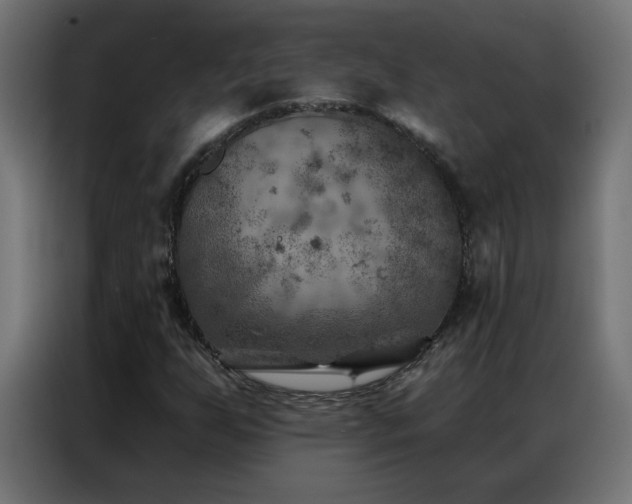 X0000087001255200704161517