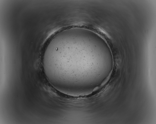X0000087001256200704161517