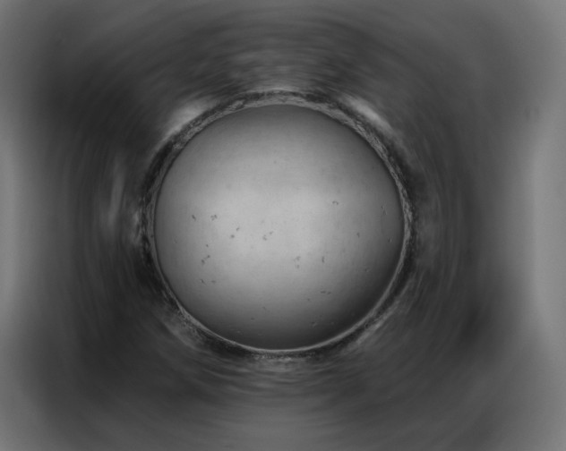 X0000087001258200704161517