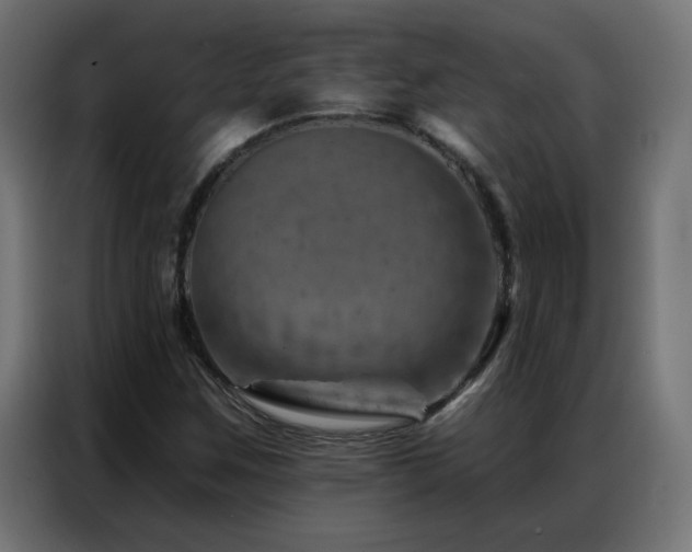 X0000087001259200704161517