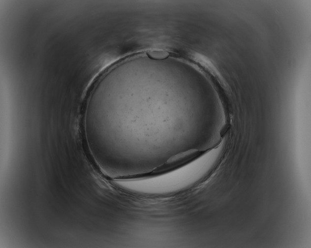 X0000087001260200704161517