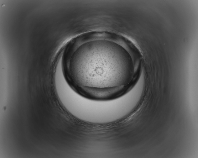 X0000087001263200704161517