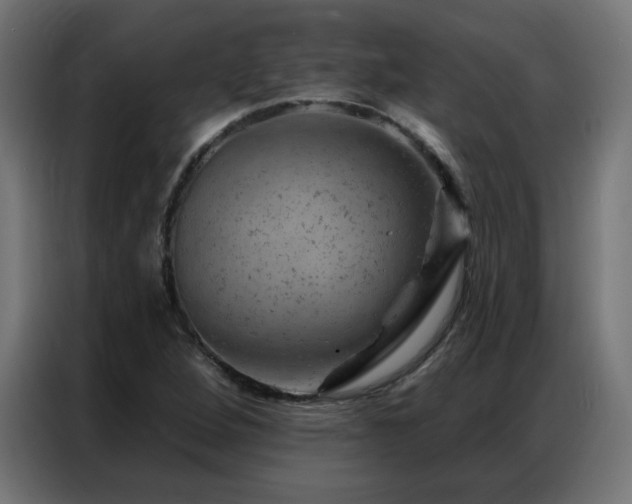X0000087001264200704161517