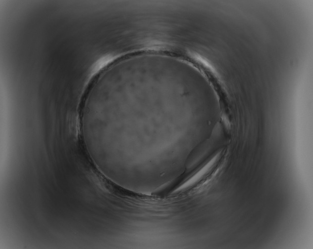 X0000087001267200704161517