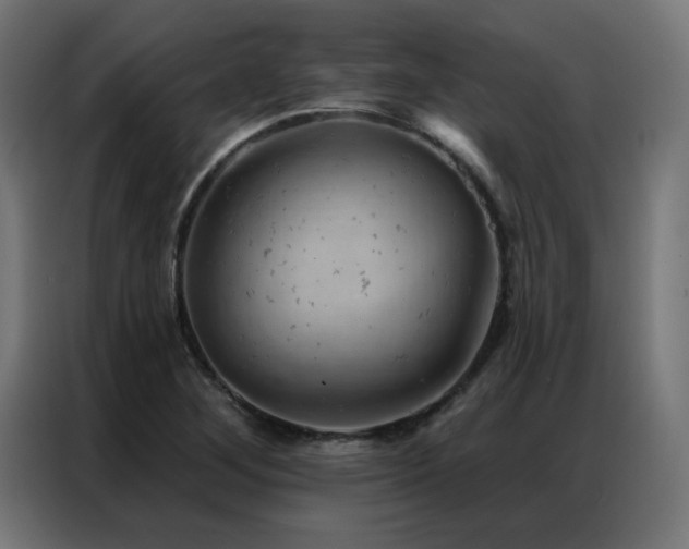 X0000087001268200704161517