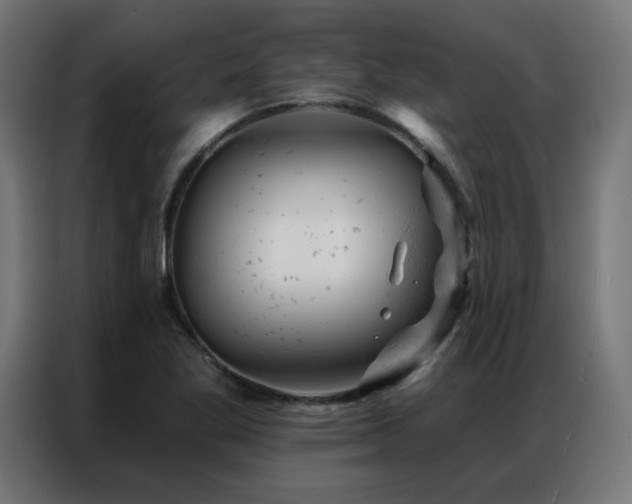 X0000087001269200704161517