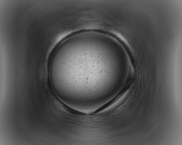 X0000087001270200704161517