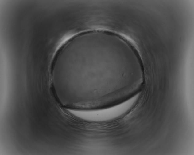 X0000087001271200704161517