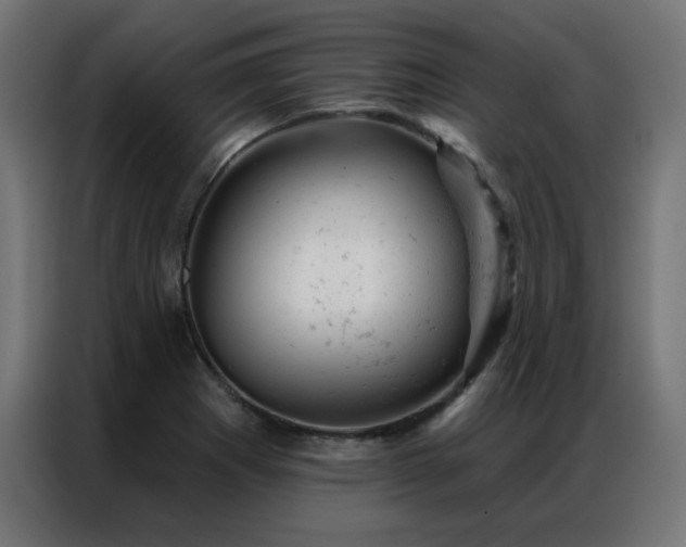 X0000087001273200704161517