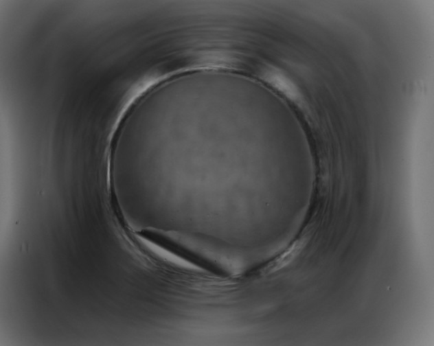 X0000087001275200704161517