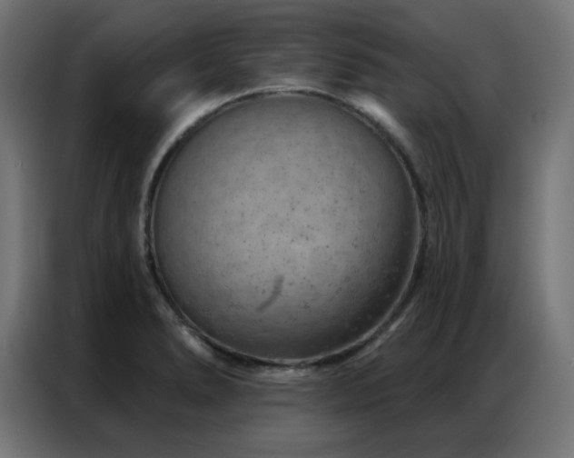 X0000087001278200704161517