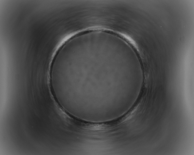 X0000087001279200704161517