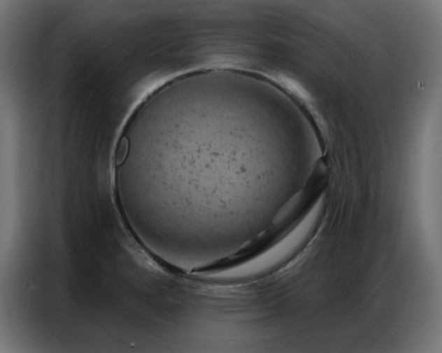 X0000087001280200704161517