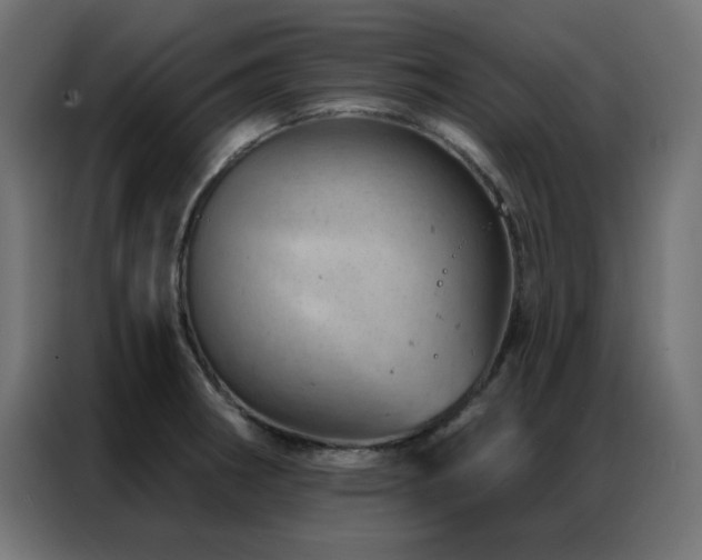 X0000087001282200704161517