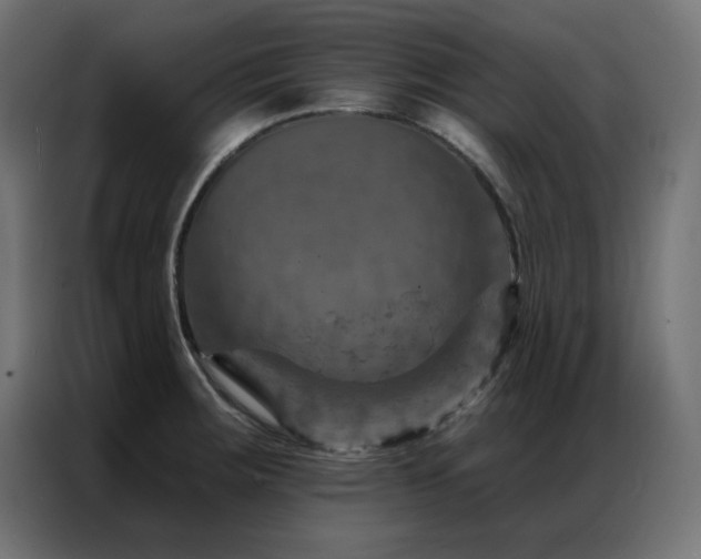 X0000087001283200704161517