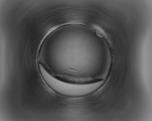 X0000087001284200704161517