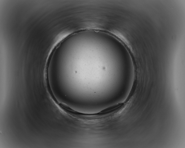 X0000087001285200704161517