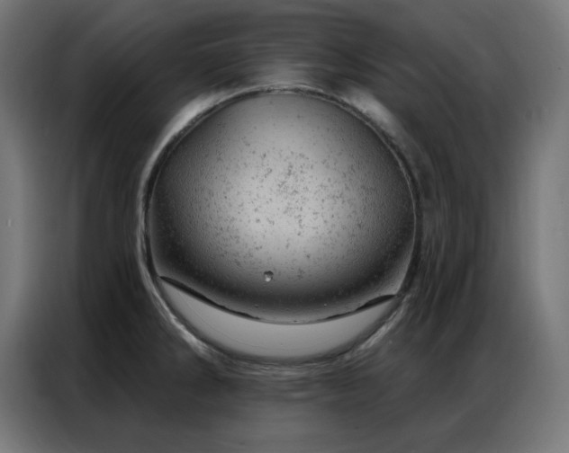 X0000087001286200704161517