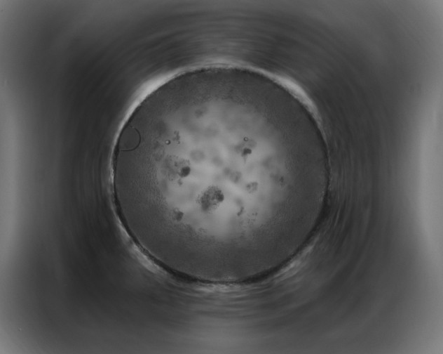 X0000087001287200704161517