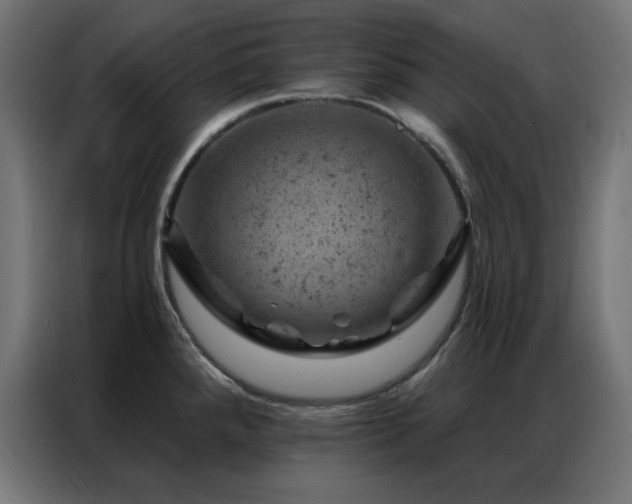 X0000087001288200704161517