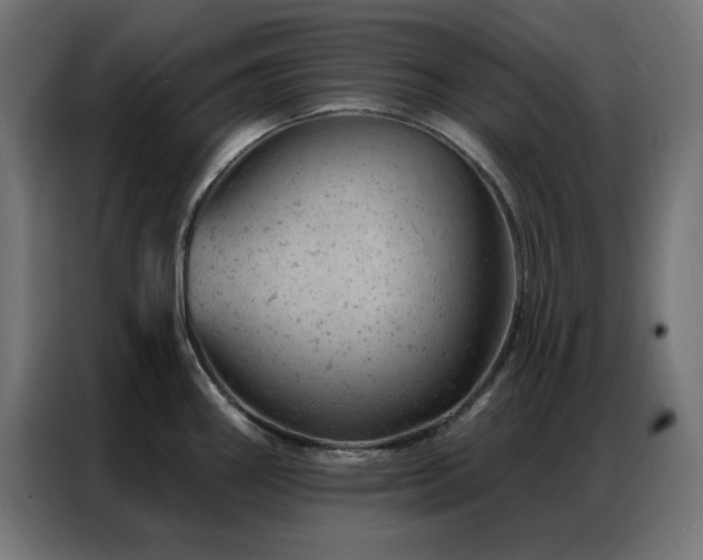X0000087001290200704161517