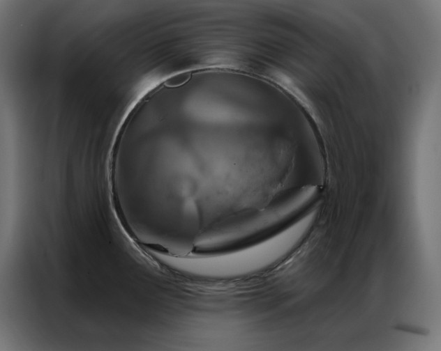 X0000087001291200704161517