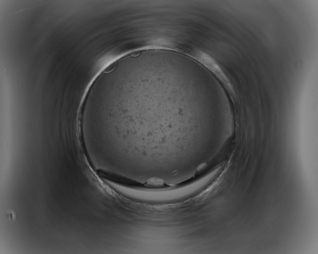 X0000087001292200704161517