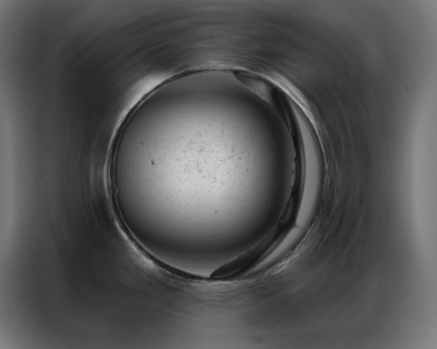 X0000087001293200704161517