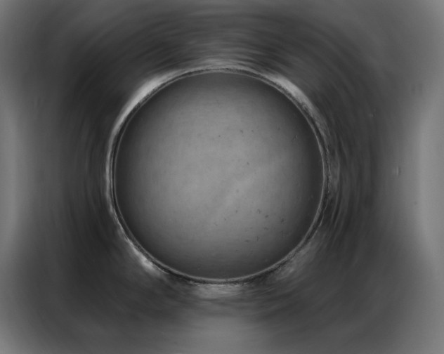 X0000087001294200704161517