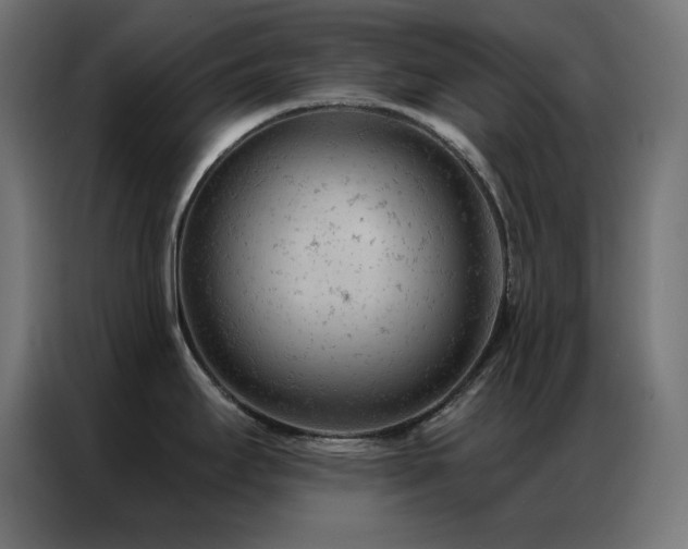 X0000087001295200704161517