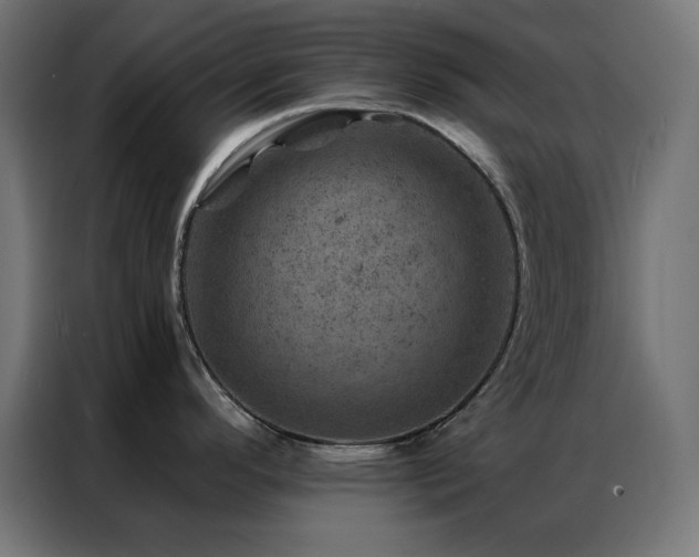 X0000087001296200704161517