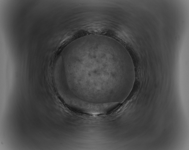 X0000087001297200704161516